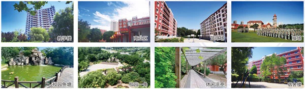 为什么篮球不同位置需要不同的训练重点_1